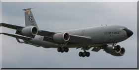 Quid 76 landing after a bird strike on the runway after a practicing aproach