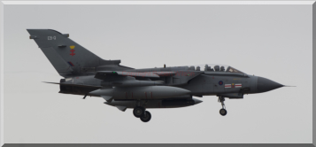 Apollo 1 returning home