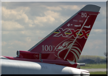 A close up of the special tail commemerating 100 years of 29(R) Squadron